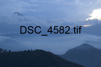 DSC_4582